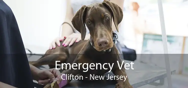 Emergency Vet Clifton - New Jersey