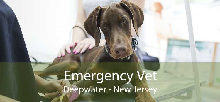 Emergency Vet Deepwater - New Jersey