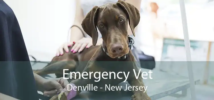 Emergency Vet Denville - New Jersey