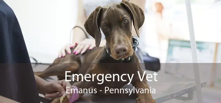 Emergency Vet Emanus - Pennsylvania