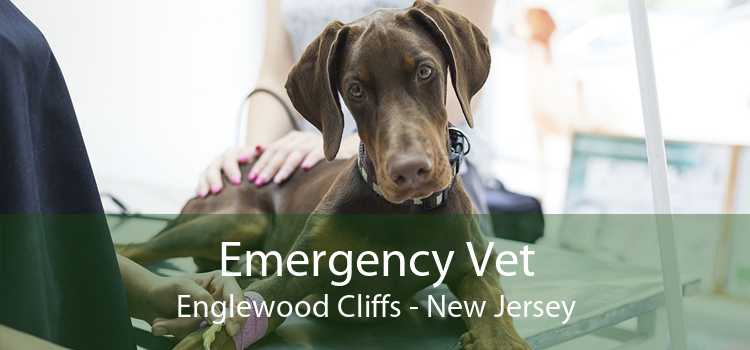 Emergency Vet Englewood Cliffs - New Jersey