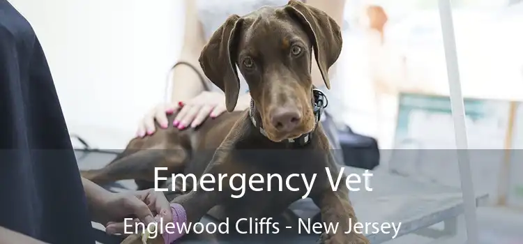 Emergency Vet Englewood Cliffs - New Jersey