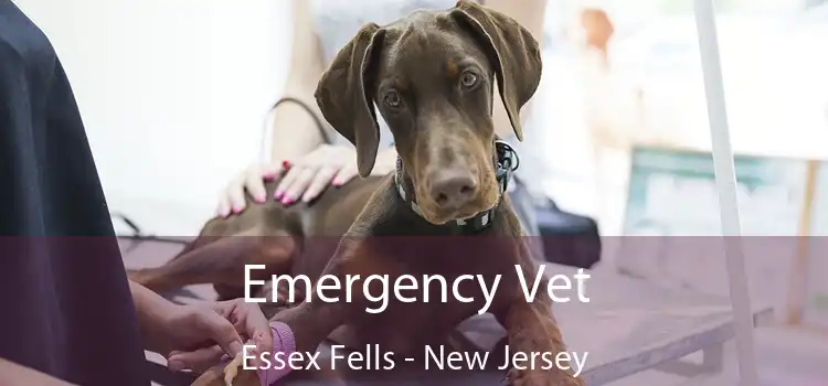 Emergency Vet Essex Fells - New Jersey