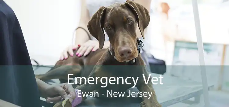 Emergency Vet Ewan - New Jersey