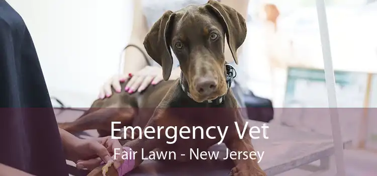 Emergency Vet Fair Lawn - New Jersey