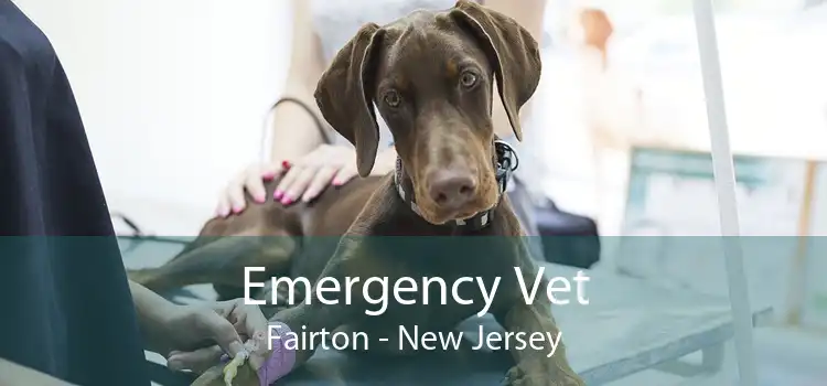 Emergency Vet Fairton - New Jersey