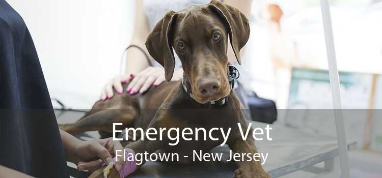 Emergency Vet Flagtown - New Jersey