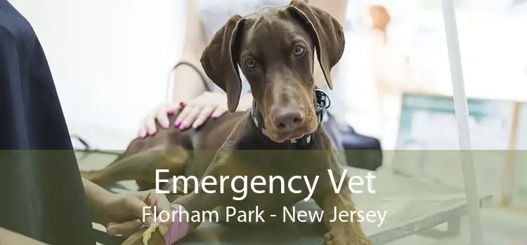 Emergency Vet Florham Park - New Jersey