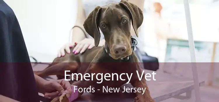 Emergency Vet Fords - New Jersey