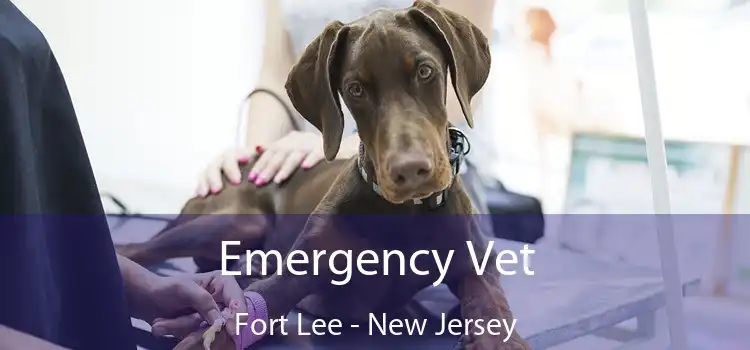 Emergency Vet Fort Lee - New Jersey
