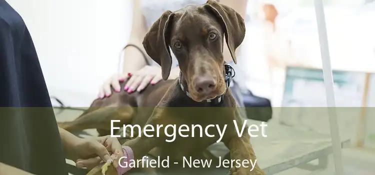 Emergency Vet Garfield - New Jersey