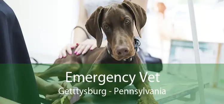 Emergency Vet Getttysburg - Pennsylvania