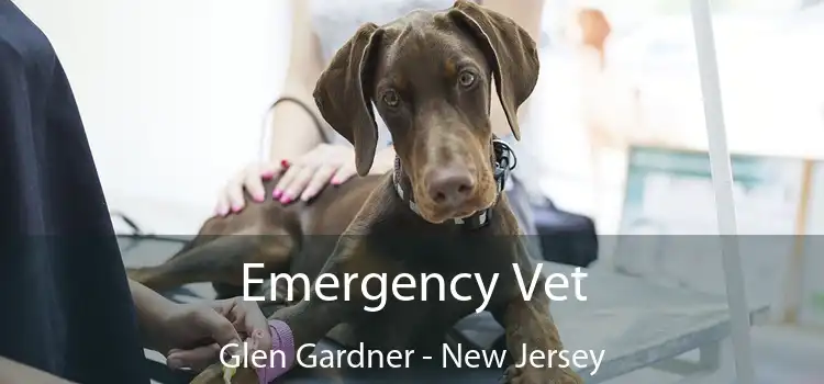 Emergency Vet Glen Gardner - New Jersey