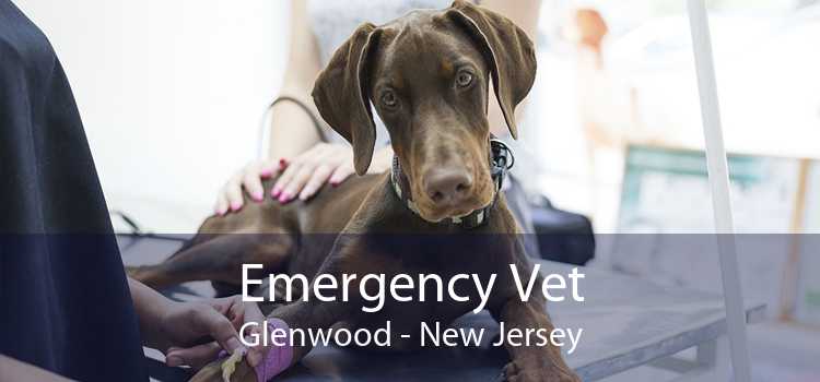 Emergency Vet Glenwood - New Jersey