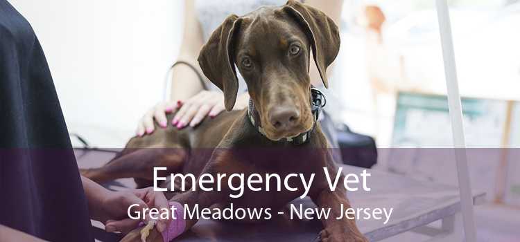 Emergency Vet Great Meadows - New Jersey