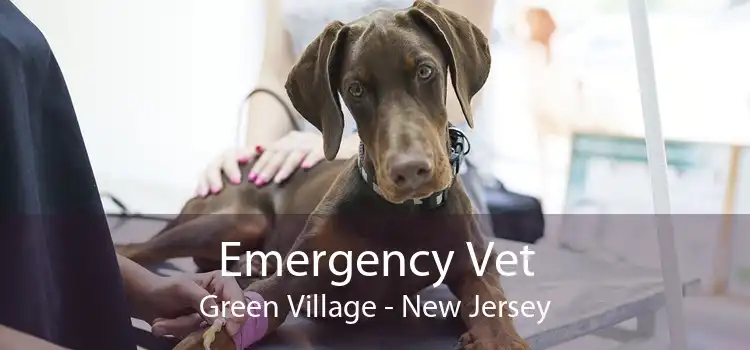 Emergency Vet Green Village - New Jersey