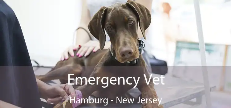 Emergency Vet Hamburg - New Jersey