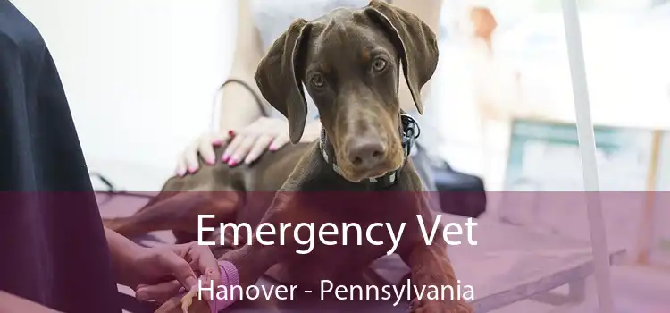 Emergency Vet Hanover - Pennsylvania