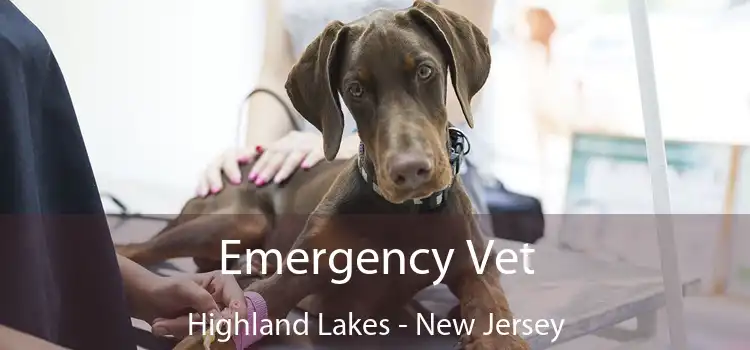 Emergency Vet Highland Lakes - New Jersey