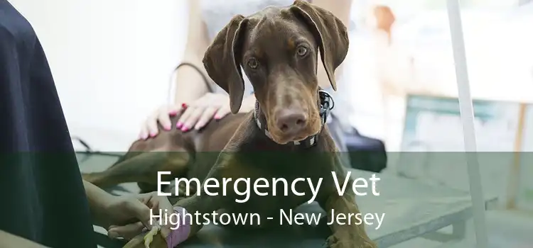 Emergency Vet Hightstown - New Jersey