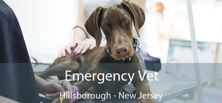 Emergency Vet Hillsborough - New Jersey