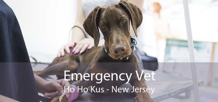 Emergency Vet Ho Ho Kus - New Jersey