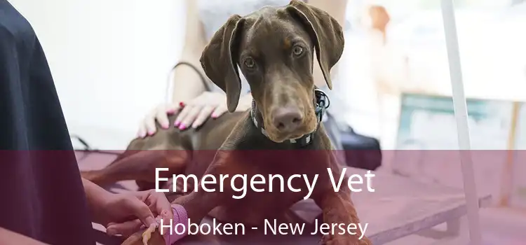 Emergency Vet Hoboken - New Jersey