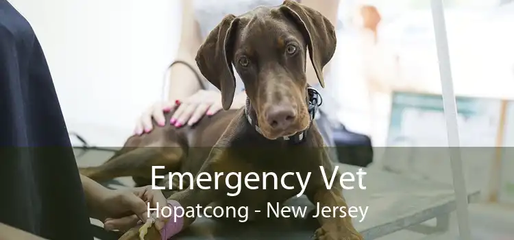 Emergency Vet Hopatcong - New Jersey