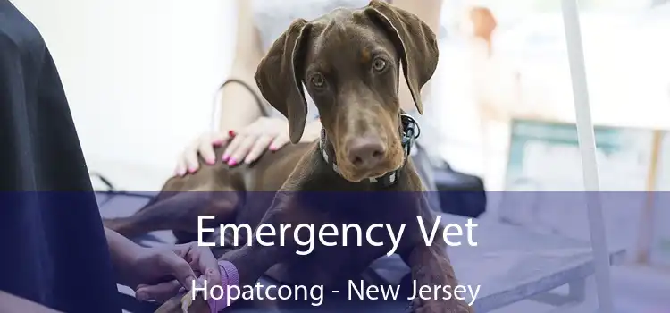 Emergency Vet Hopatcong - New Jersey
