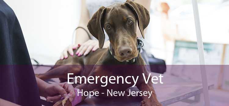 Emergency Vet Hope - New Jersey