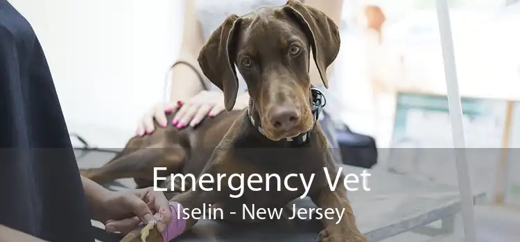 Emergency Vet Iselin - New Jersey