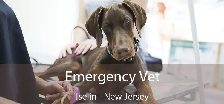 Emergency Vet Iselin - New Jersey