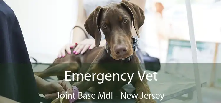 Emergency Vet Joint Base Mdl - New Jersey