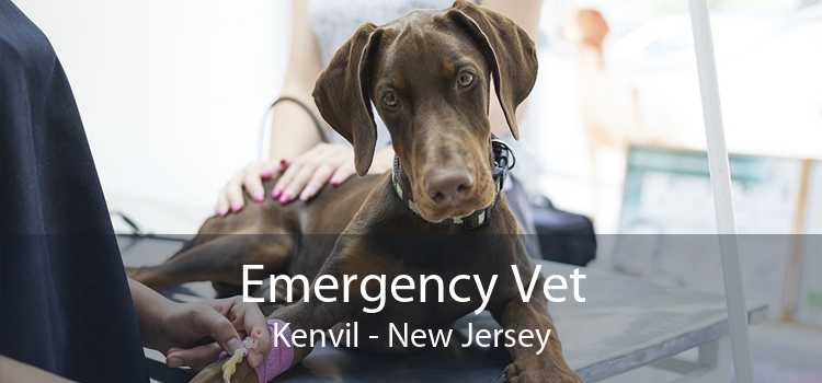 Emergency Vet Kenvil - New Jersey