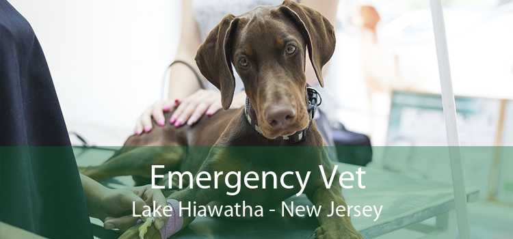 Emergency Vet Lake Hiawatha - New Jersey
