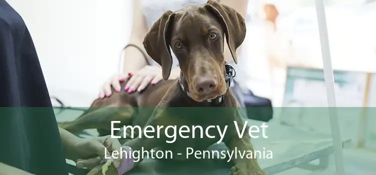 Emergency Vet Lehighton - Pennsylvania