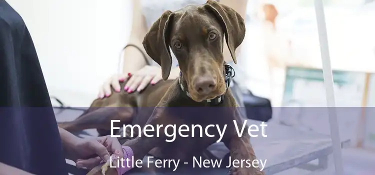 Emergency Vet Little Ferry - New Jersey