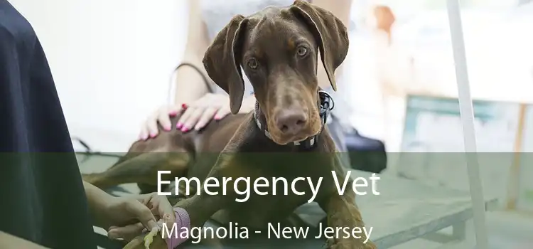 Emergency Vet Magnolia - New Jersey