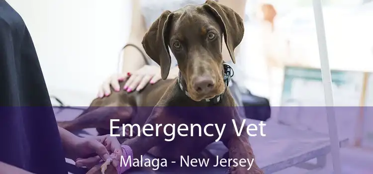 Emergency Vet Malaga - New Jersey