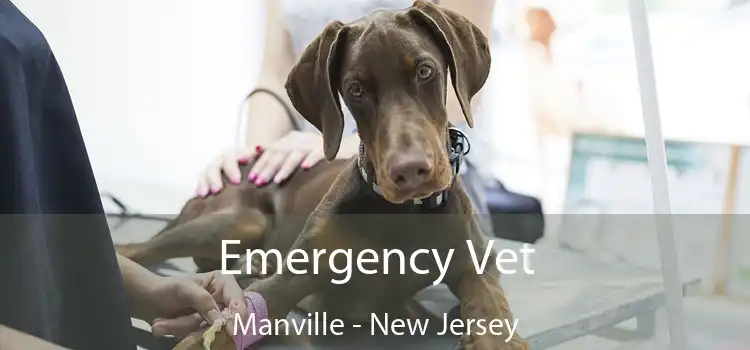 Emergency Vet Manville - New Jersey