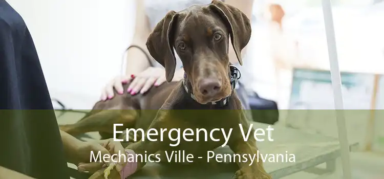 Emergency Vet Mechanics Ville - Pennsylvania