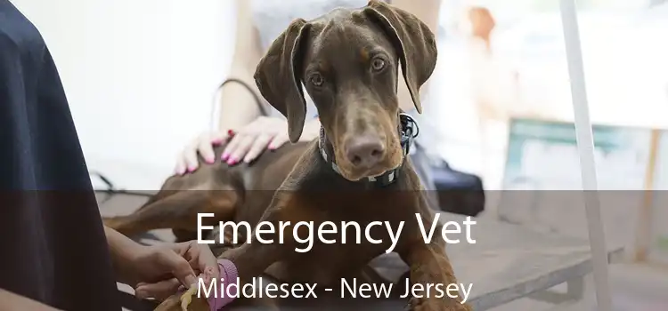 Emergency Vet Middlesex - New Jersey