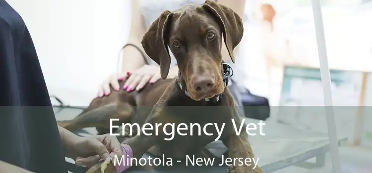 Emergency Vet Minotola - New Jersey