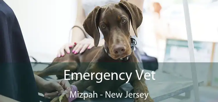 Emergency Vet Mizpah - New Jersey