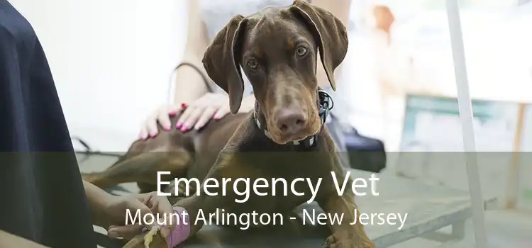 Emergency Vet Mount Arlington - New Jersey
