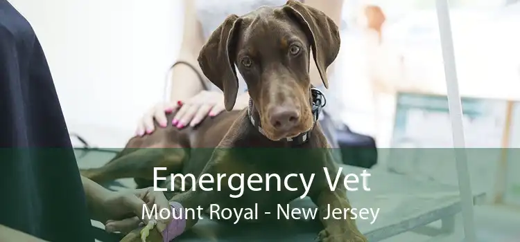 Emergency Vet Mount Royal - New Jersey