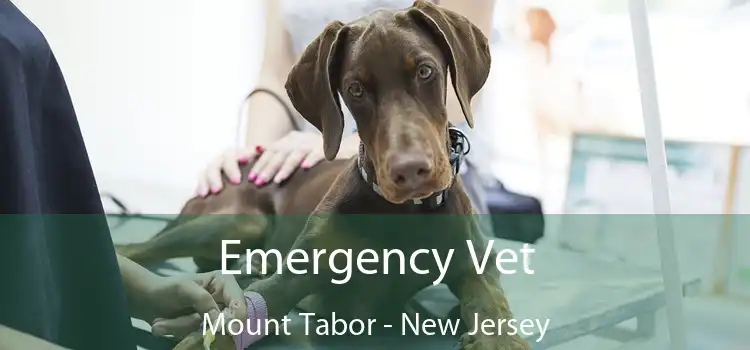 Emergency Vet Mount Tabor - New Jersey