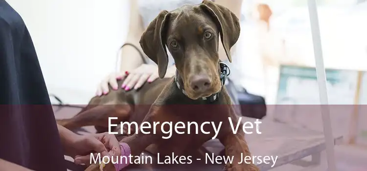 Emergency Vet Mountain Lakes - New Jersey