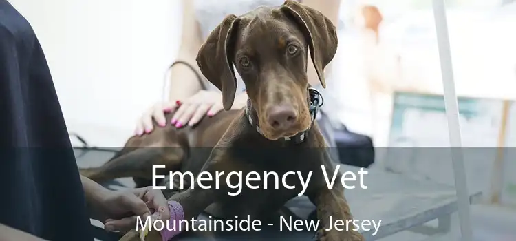 Emergency Vet Mountainside - New Jersey