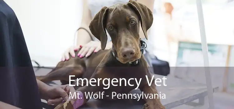 Emergency Vet Mt. Wolf - Pennsylvania